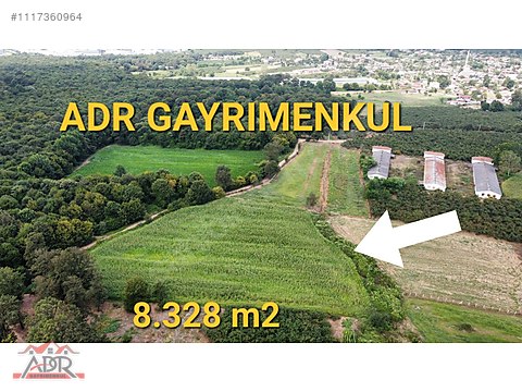 SÖĞÜTLÜ YENİKÖY.DE. 8329 M2 YATIRIMLIK SATILIK...