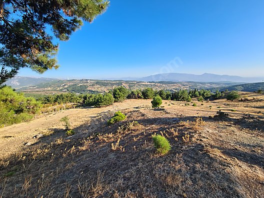 izmir bornova sarnickoy mahallesi nde satilik tarla satilik arsa ilanlari sahibinden com da 962364431 izmir bornova sarnickoy mahallesi nde satilik tarla satilik arsa ilanlari sahibinden com da 962364431