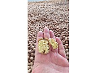 satilik kabuklu ceviz chandler