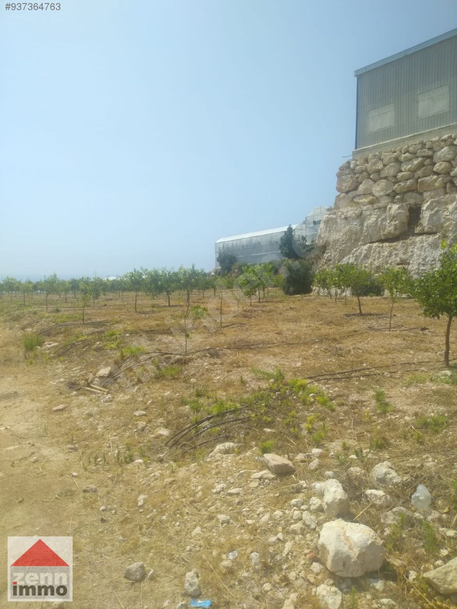 MERSİN ERDEMLİ DE SATILIK 22 DÖNÜM LİMON BAHCESİ ,DEPO,EV Satılık