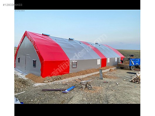 Pets & Livestock / Poultry & Fowl / Chickens