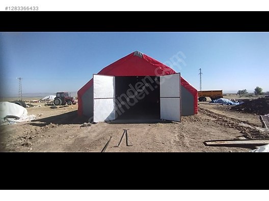 Pets & Livestock / Poultry & Fowl / Chickens