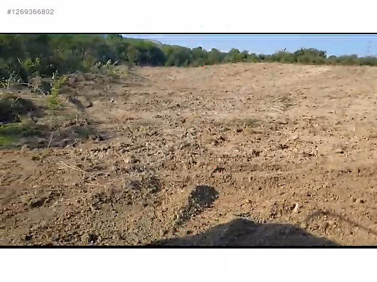 YALOVA SUGÖREN'DE TAKASA ACIK SATILIK TARLA #1269366802