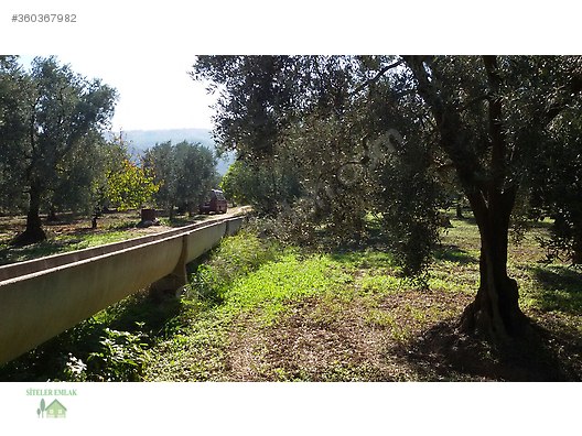 celtikci satilik arsa ilanlari ve fiyatlari sahibinden com da