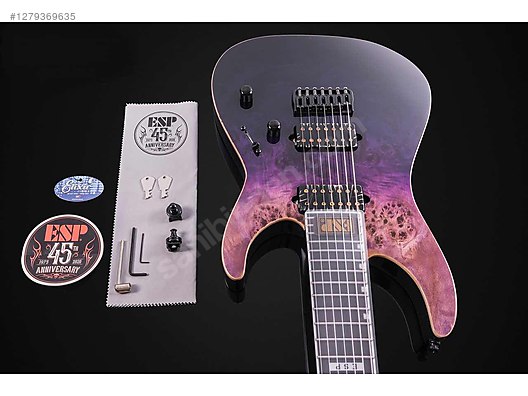 ESP Elektro Gitar