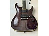 ESP Elektro Gitar