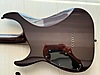 ESP Elektro Gitar