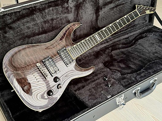 ESP Elektro Gitar