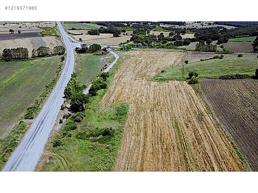 İBRAHİM ÖZLÜ DEN BAHADIRLI ANA YOLA CEPHELİ 71 DÖNÜM HESAPLI ARA #1219371985