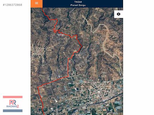 SATILIK ZEYTİNLİK AYDIN / SULTANHİSAR / ESKİ HİSAR #1286372868