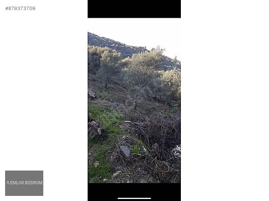 Bodruma Yakin 250m2 Imarli Milas Kemikler Koyu Satilik Arsa Ilanlari Sahibinden Com Da 879373709