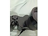 Used & Brand New Items / Cameras & Photographic Equipment / Binoculars