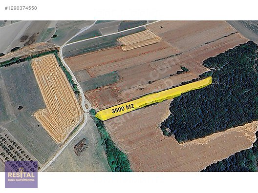 NİLÜFER BADIRGA 3500 M2 SATILIK TARLA