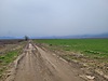 BURSA YENİŞEHİR ÇARDAK MAHALLESİNDE SATILIK FIRSAT TARLA