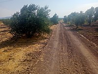 akhisar satilik arsa ilanlari ve fiyatlari sahibinden com da akhisar satilik arsa ilanlari ve fiyatlari sahibinden com da