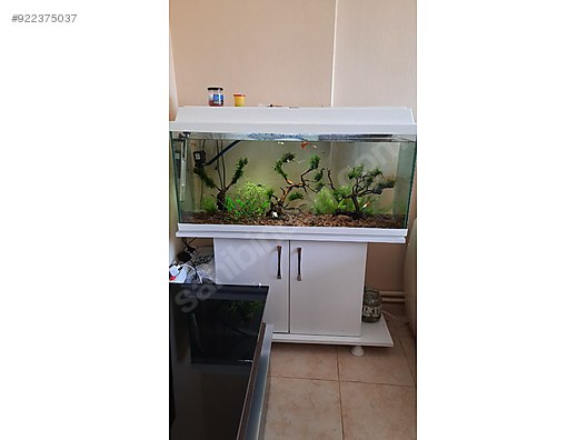 akvaryum 1 metre sahibinden comda