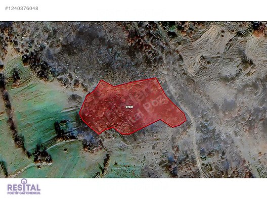 Balıkesir Susurluk Bozen'de Satılık Tarla