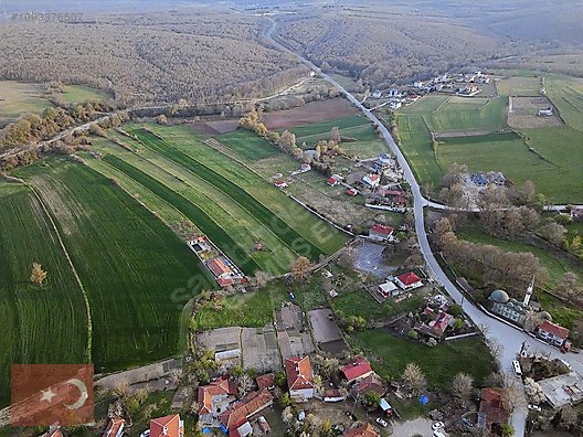 ukrayna da gece kulübü malizia laura antonelli 18