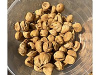 Küçük boy kuru incir