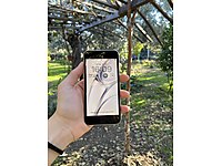 Sahibinden iPhone SE 2022 (3rd Gen) #1283378089