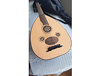 Flotalı siyah gövdeli ud