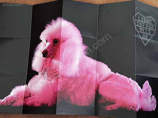 Rock / Rammstein - P.ssy Single on sahibinden.com - 1309379491
