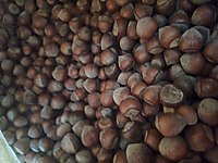 Yağlı Giresun fındığı KG