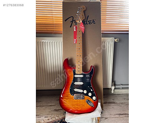 Fender Elektro Gitar