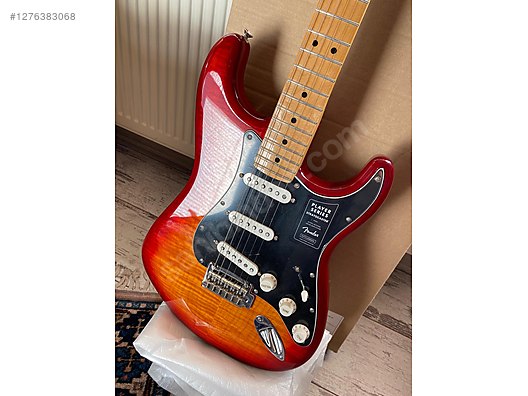 Fender Elektro Gitar