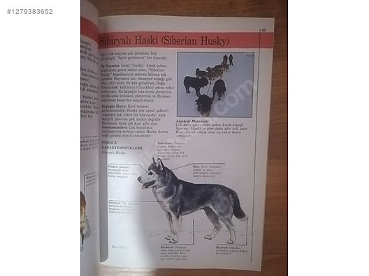 Used & Brand New Items / Books, Magazines & Movies / Information & Reference Books / Self-Improvement