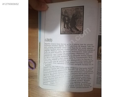 Used & Brand New Items / Books, Magazines & Movies / Information & Reference Books / Self-Improvement