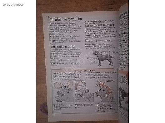 Used & Brand New Items / Books, Magazines & Movies / Information & Reference Books / Self-Improvement