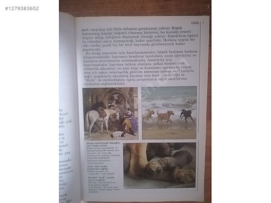 Used & Brand New Items / Books, Magazines & Movies / Information & Reference Books / Self-Improvement