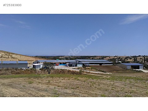 Buyukbas Hayvan Ciftligi Sahibinden Comda 725383800