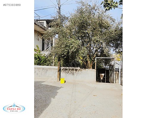 tatlisu emlaktan kiralik mustakil kiralik mustakil ev ilanlari sahibinden com da 975383869