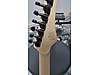 Schecter Elektro Gitar