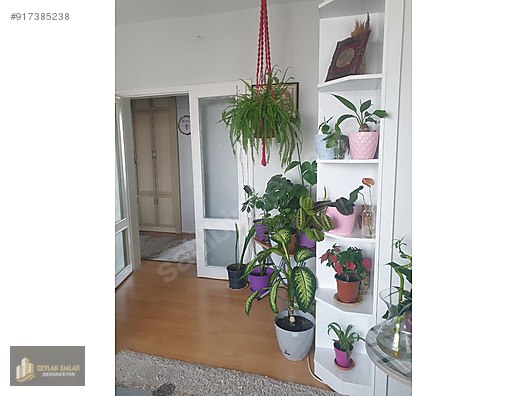Sincan Fatihte 3 1 Uc Cepheli Ucbalkonlu Yapili 4 Ara Kat Satilik Daire Ilanlari Sahibinden Com Da 917385238