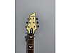 Schecter Elektro Gitar