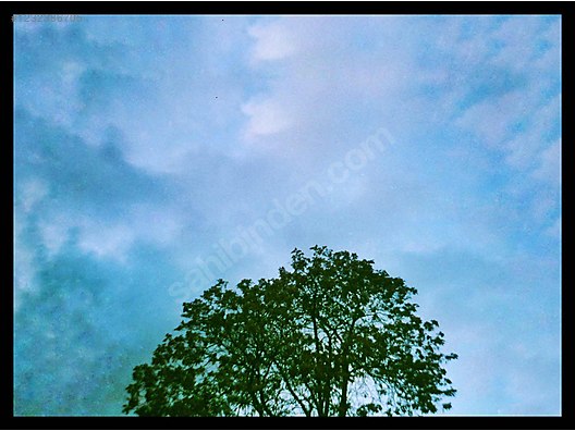 İkinci El ve Sıfır Alışveriş / Fotoğraf & Kamera / Analog Fotoğraf Makinesi / 35mm Filmli Kompakt / Konica