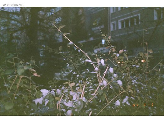 İkinci El ve Sıfır Alışveriş / Fotoğraf & Kamera / Analog Fotoğraf Makinesi / 35mm Filmli Kompakt / Konica