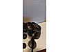 Used & Brand New Items / Cameras & Photographic Equipment / Binoculars