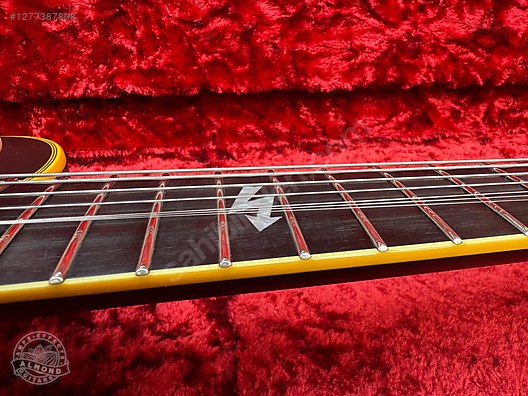 Schecter Elektro Gitar