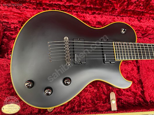 Schecter Elektro Gitar