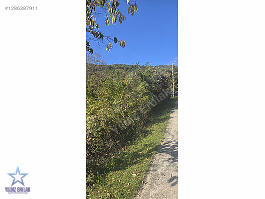 YILDIZ EMLAK'TAN AYANCIK/ORTALIK KÖYÜNDE SATILIK ARAZİ #1286387911