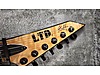 LTD Elektro Gitar