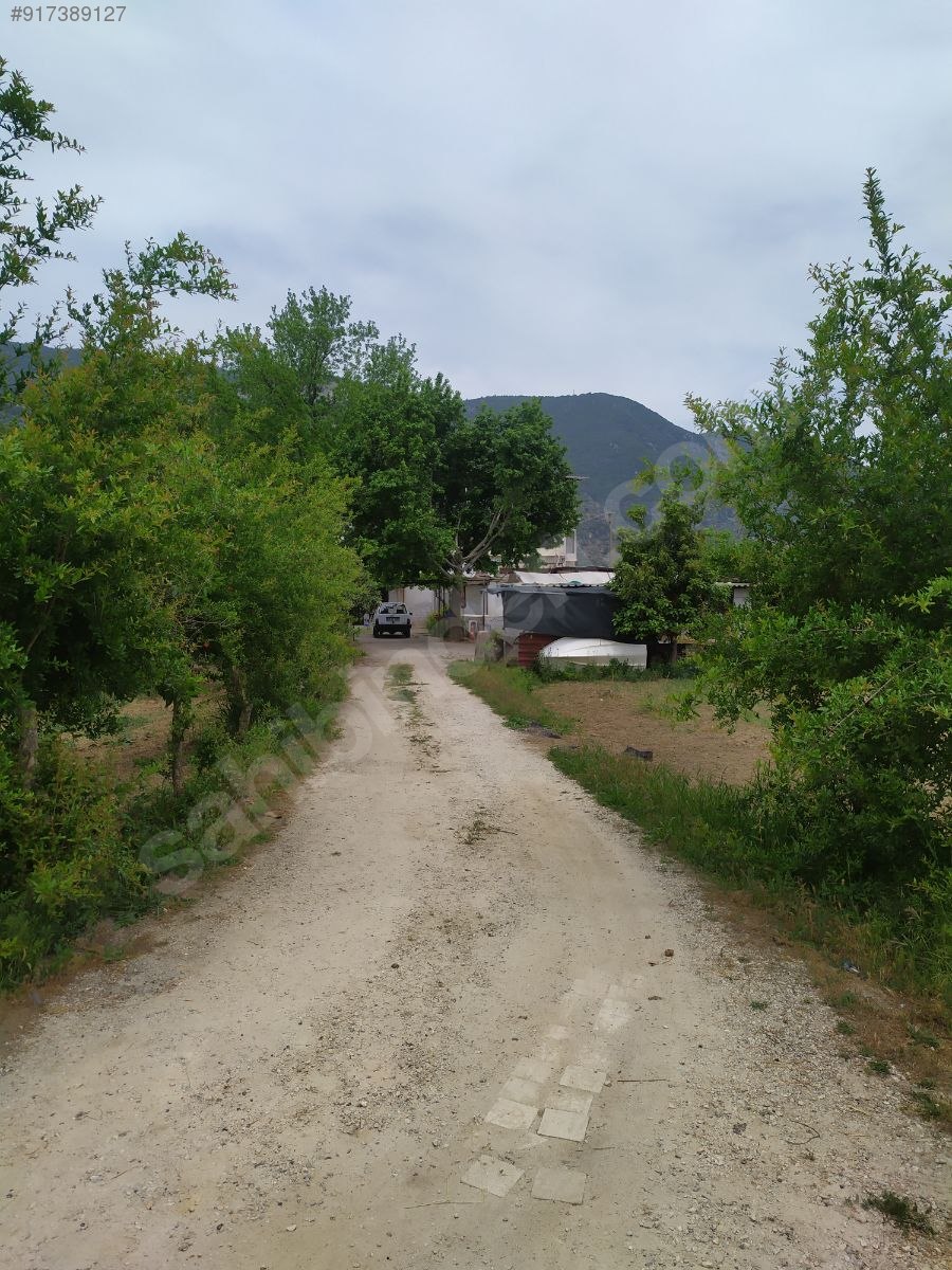 Gökova da içinde ev olan Satılık Arsa İlanları
