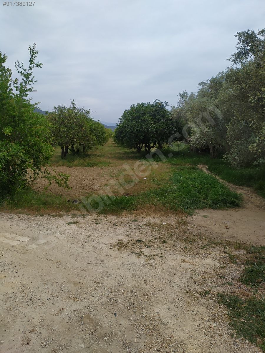 Gökova da içinde ev olan Satılık Arsa İlanları