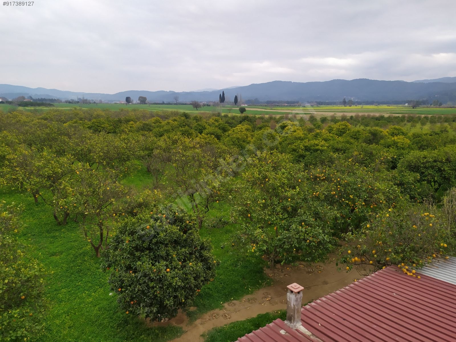 Gökova da içinde ev olan Satılık Arsa İlanları