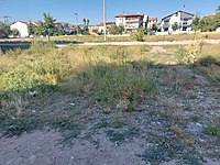 fatih mah satilik arsa ilanlari ve fiyatlari sahibinden com da fatih mah satilik arsa ilanlari ve fiyatlari sahibinden com da