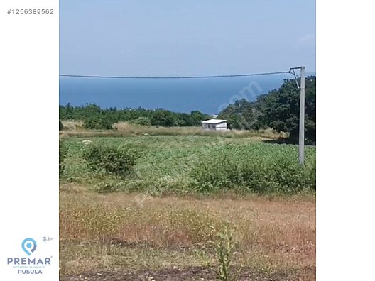 PREMAR DAN MUDANYA MESUDİYE KÖYÜ SATILIK DENİZ MANZARALI TARLA #1256389562